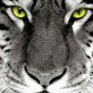 Meet your Posher, Jeff